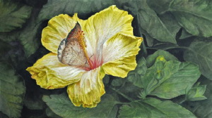 butterfly
