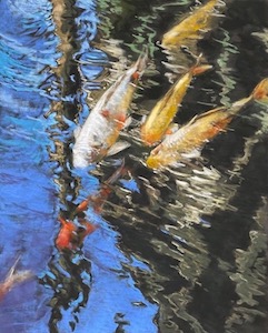 fish